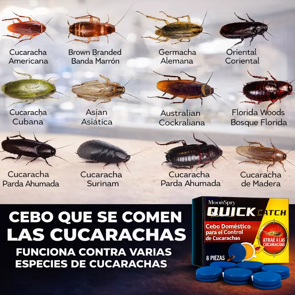 Cebo Doméstico para el Control de Cucarachas.