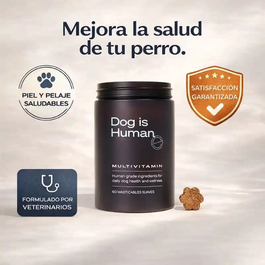 Vitaminas para el cuidado diario de tu perro.